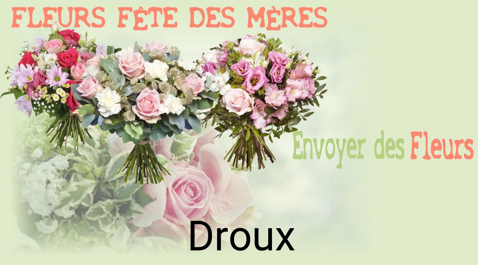 Bouquet de Fête des Mères livré à Droux